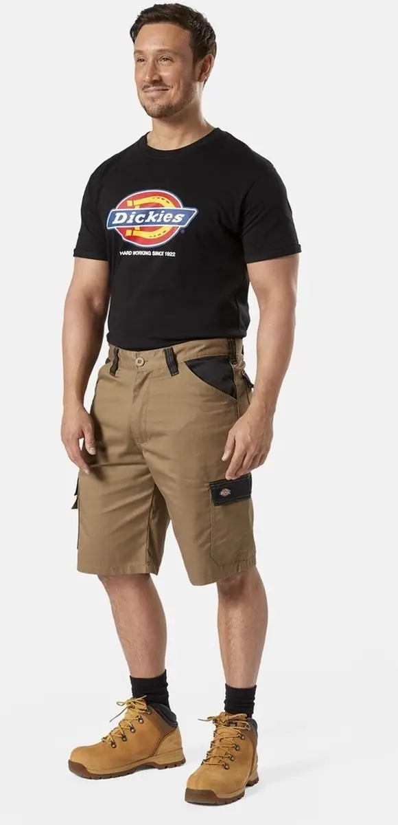 Dickies Heren-t-shirt DENISON (DT6010) DK0A4XUD - Black - M