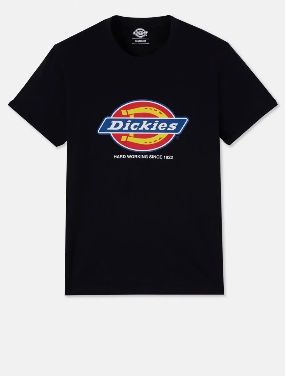 Dickies Heren-t-shirt DENISON (DT6010) DK0A4XUD