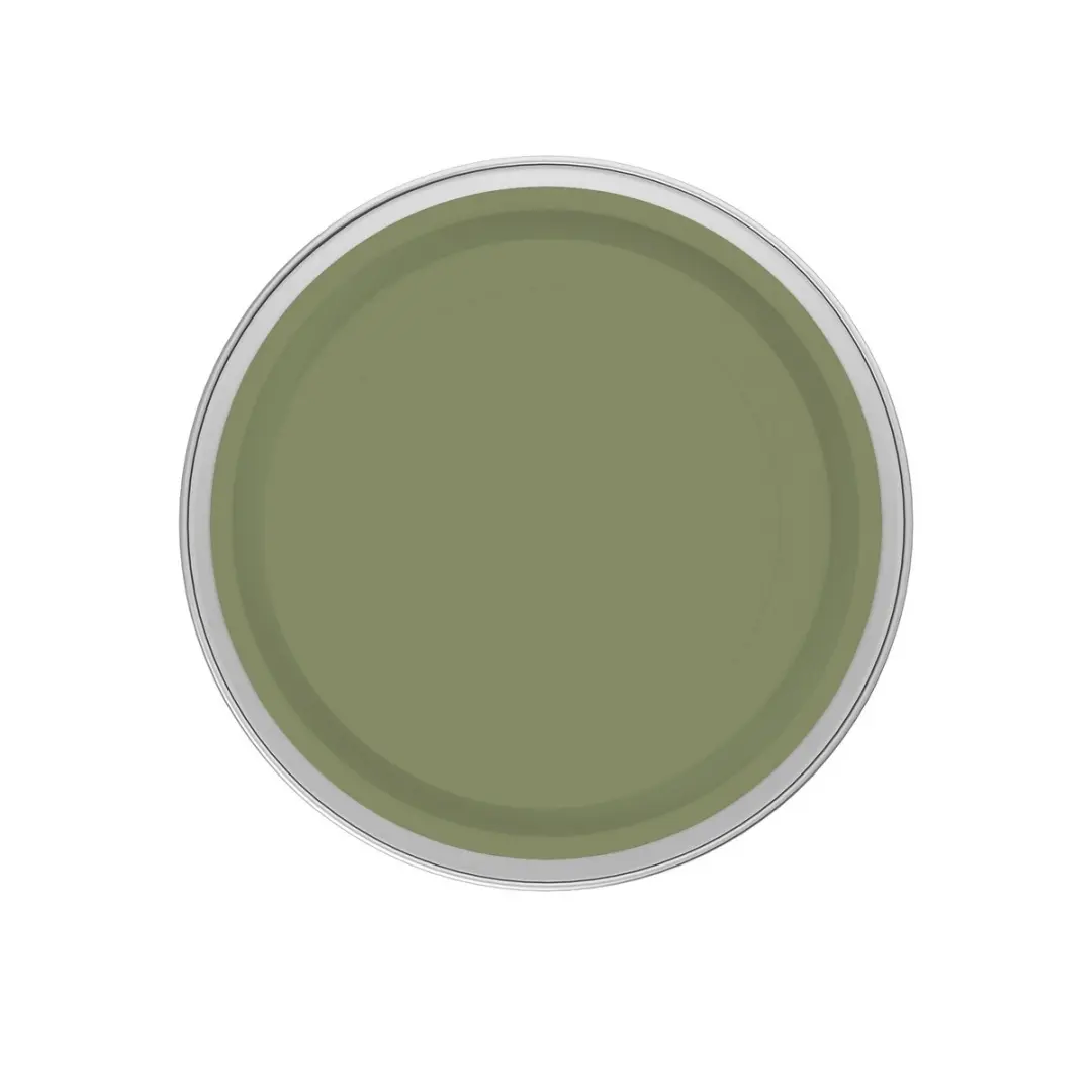 Levi's Easyclean Tegen Zwarte Strepen Mengverf 1L - Shady Green B60