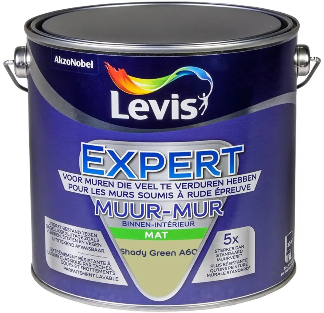 Levi's Expert Muurverf Shady Green A60