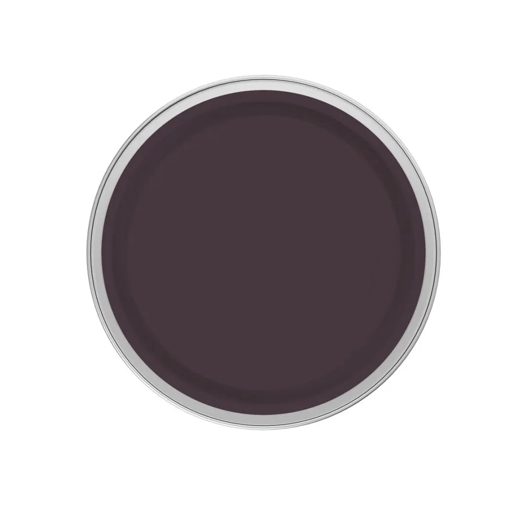 Levi's Easyclean Tegen Zwarte Strepen Mengverf 5L - Shady Purple C80