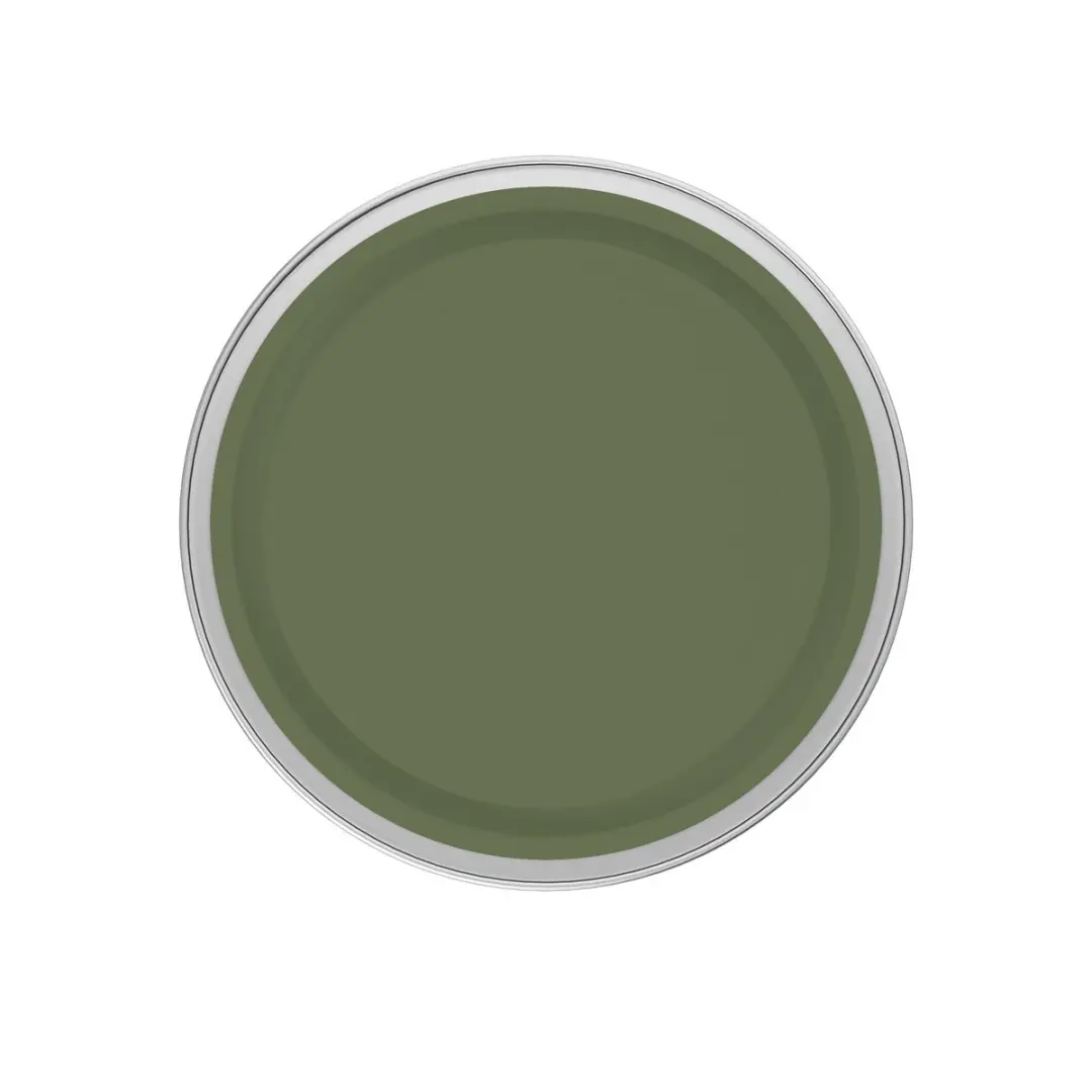 Levi's Easyclean Tegen Zwarte Strepen Mengverf 1L - Shady Green B70