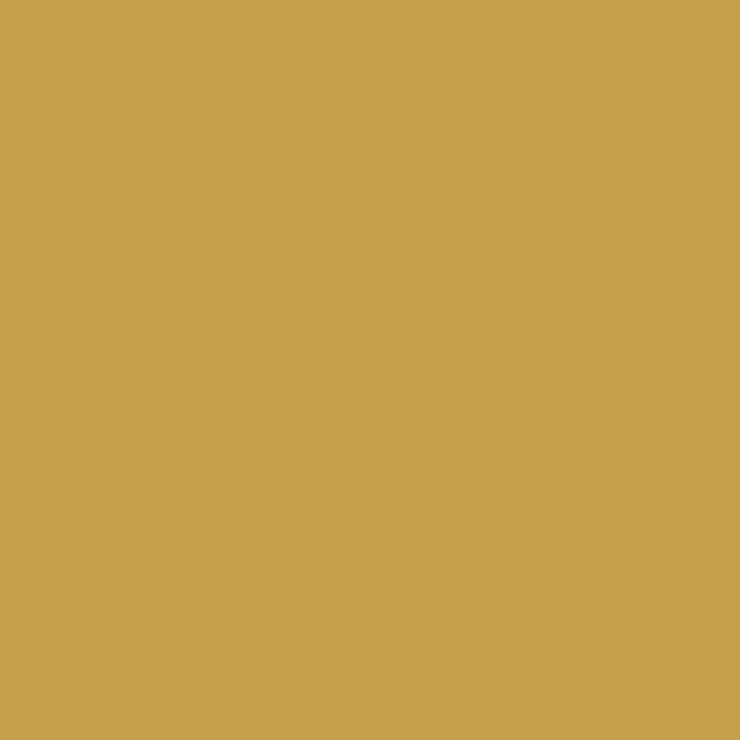 Levi's Expert Gevel Mix Shady Yellow B70 Mengverf 5L