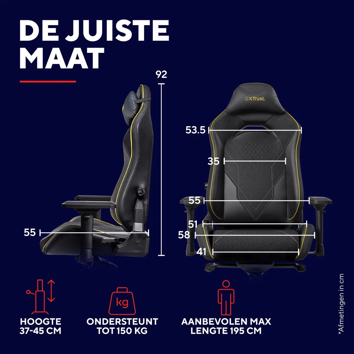 Trust GXT 721 Ruya Pro - Premium Gaming Stoel - Nekkussen - Verstelbare Rug Ondersteuning - Hoogte Verstelbaar - Rug- & Armleuningen Verstelbaar - Zwart/Grijs