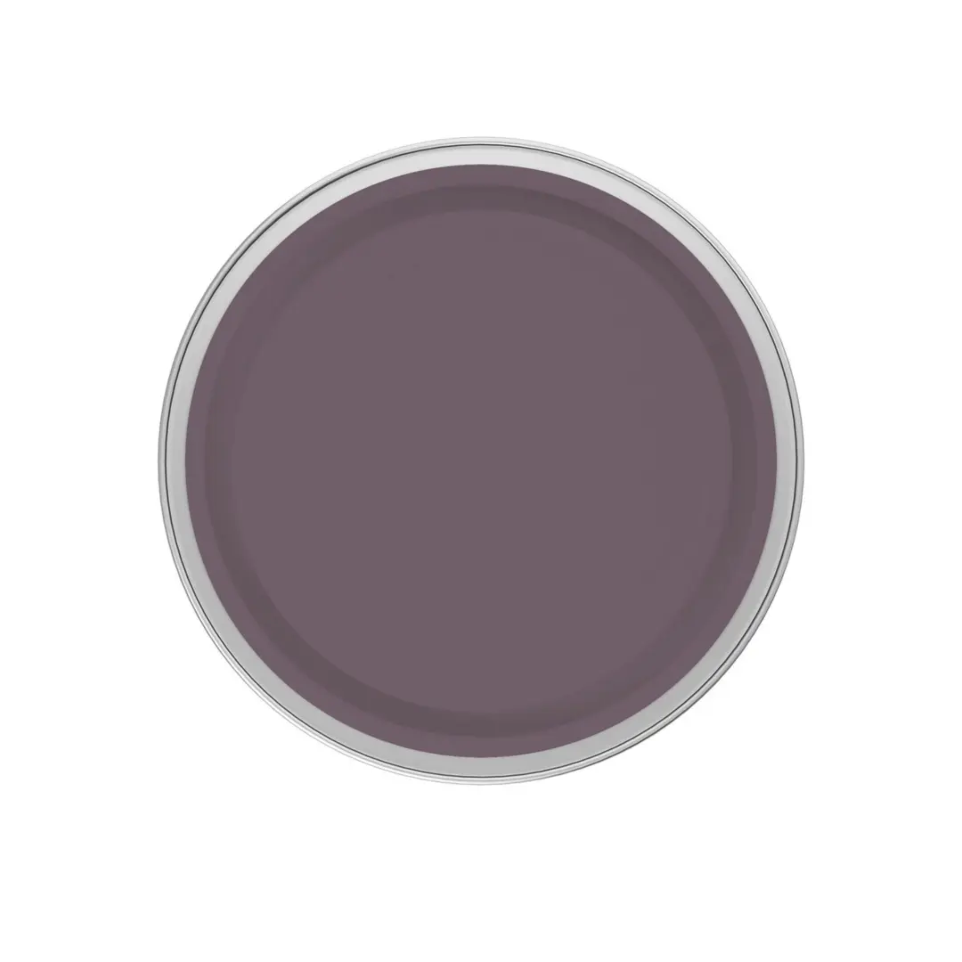 Levi's Easyclean Tegen Zwarte Strepen Mengverf 5L - Shady Purple C70