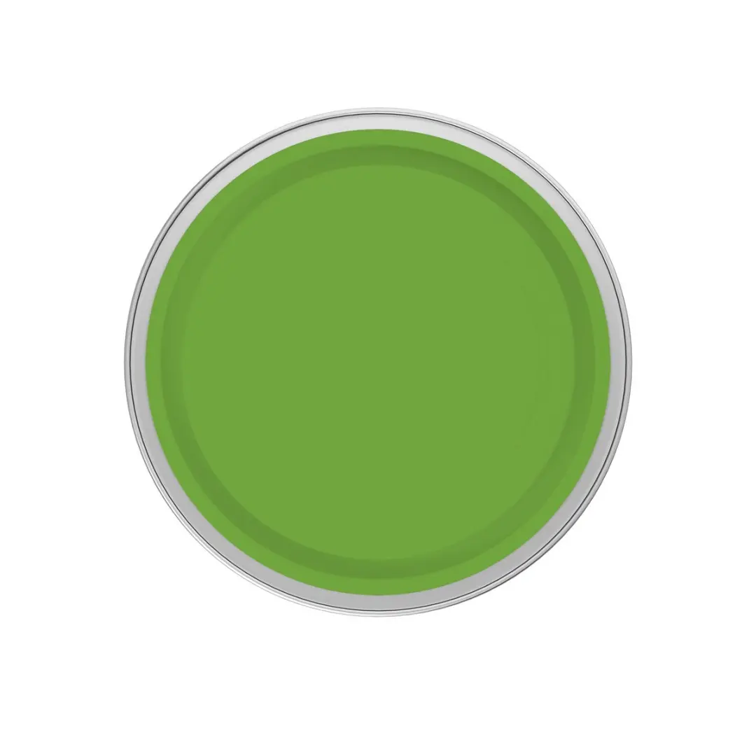 Levi's Easyclean Tegen Zwarte Strepen Mengverf 5L - Clear Green