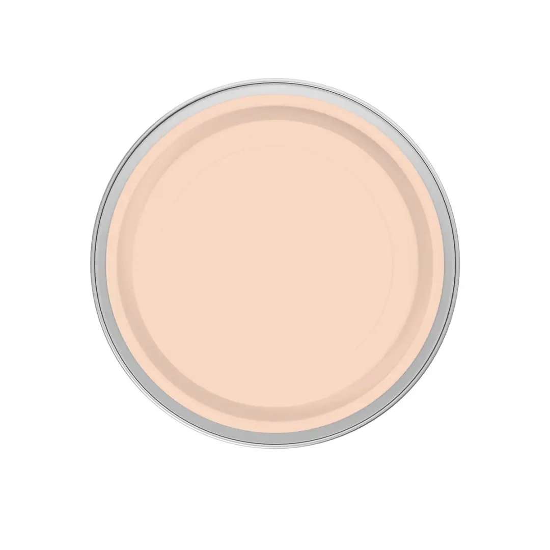 Levi's Easyclean Tegen Zwarte Strepen Mengverf 2,5L - Clear Orange