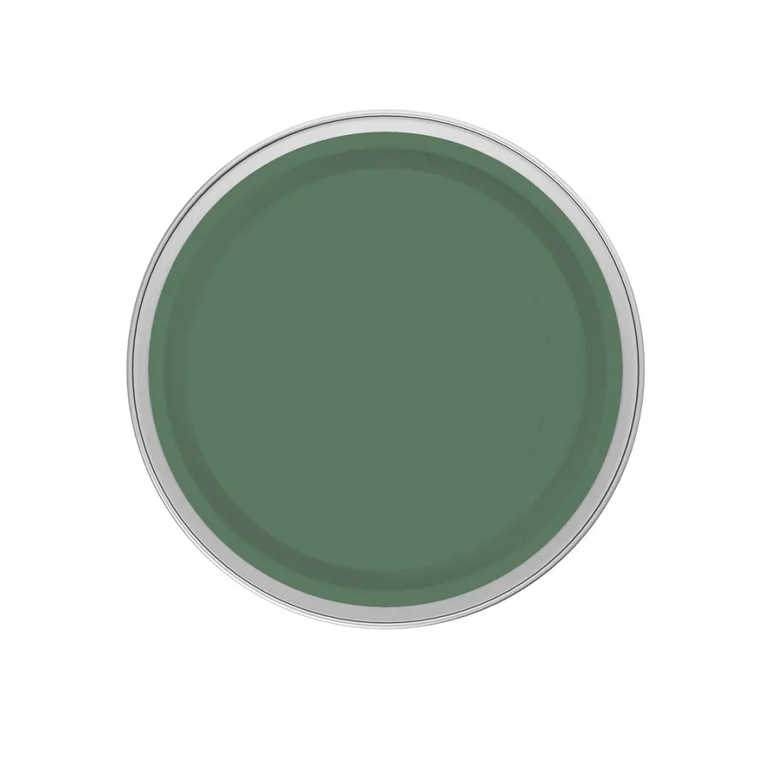 Levi's Easyclean Tegen Zwarte Strepen Mengverf 1L - Shady Green C60