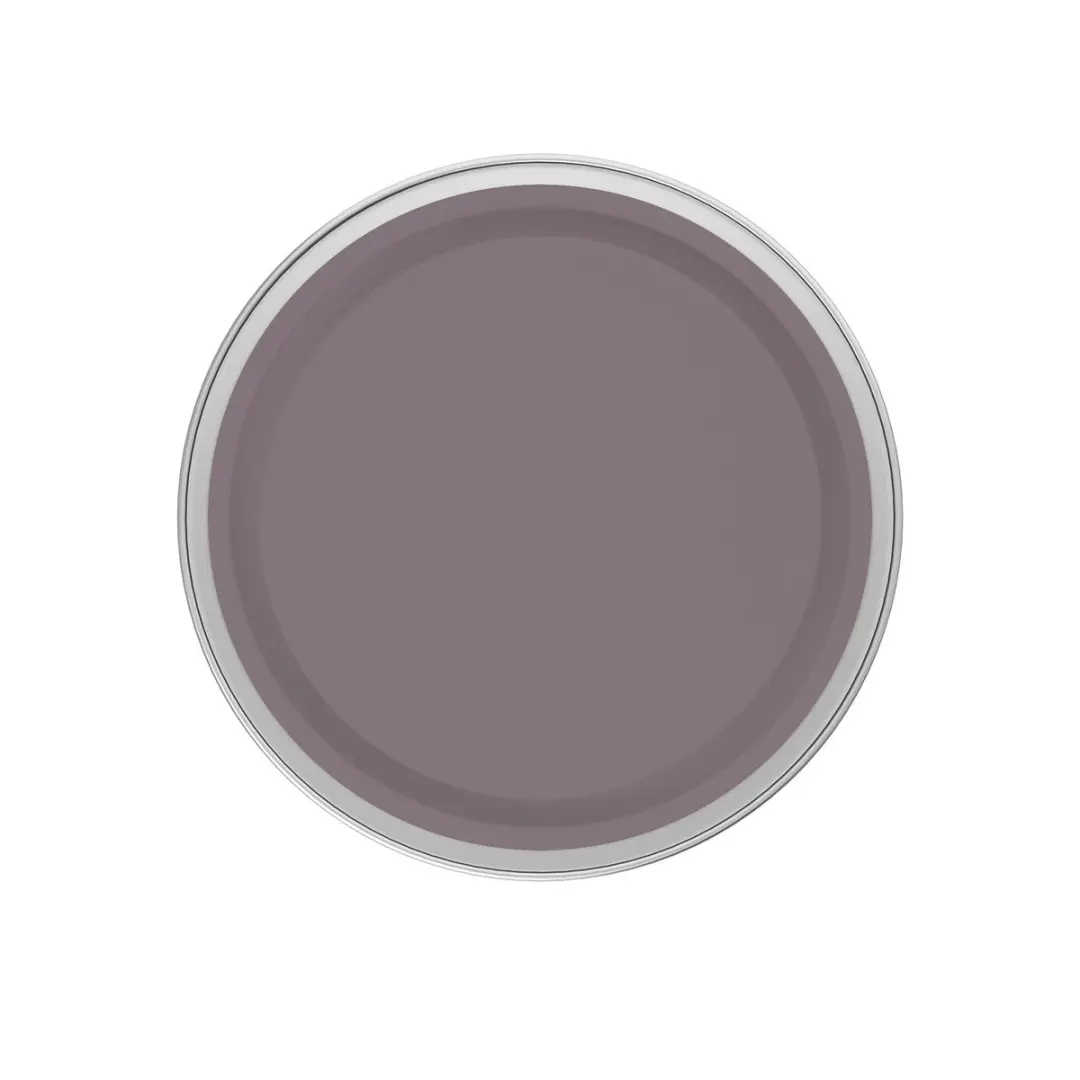 Levi's Easyclean Tegen Zwarte Strepen Mengverf 1L - Shady Purple C60