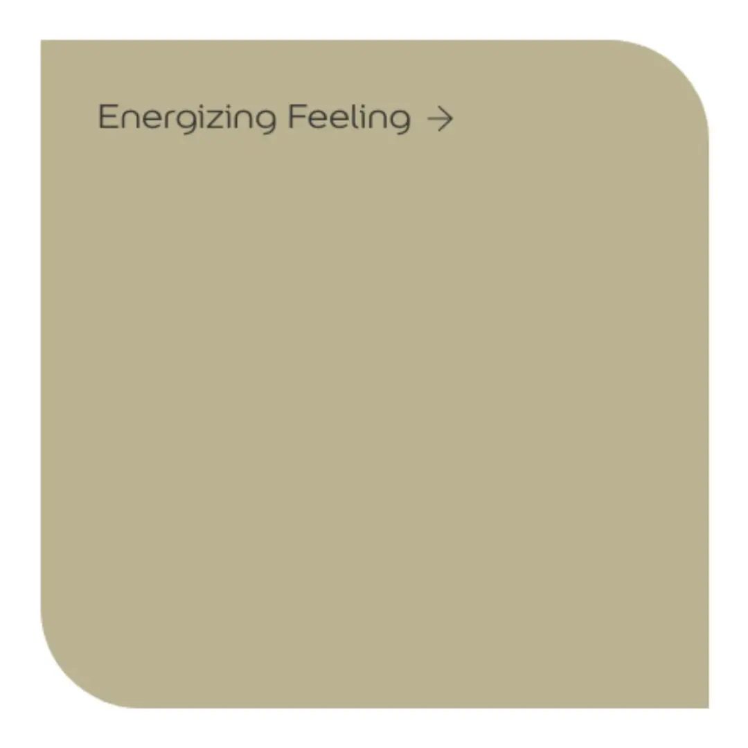 Levi's Colores del Mundo Energizing Feeling Muurverf 1L