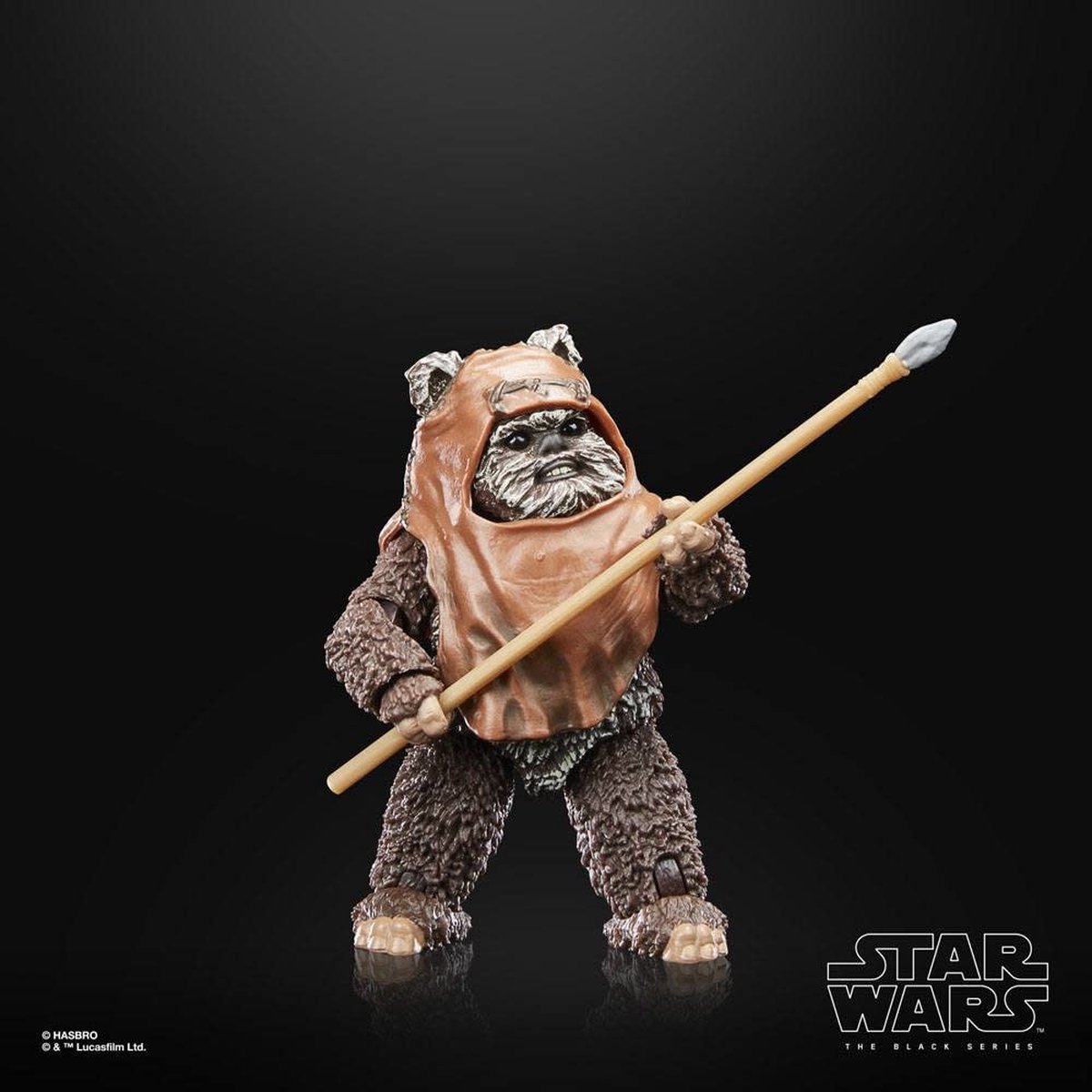 Hasbro Star Wars Actiefiguur Wicket 15 cm Episode VI 40th Anniversary Black Series Multicolours