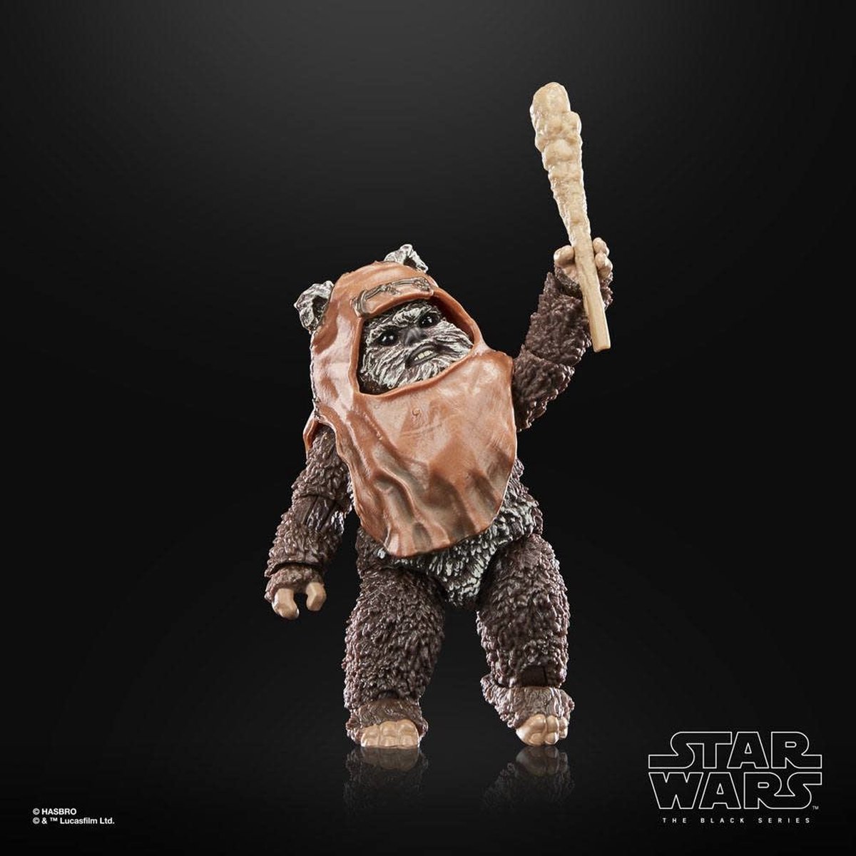 Hasbro Star Wars Actiefiguur Wicket 15 cm Episode VI 40th Anniversary Black Series Multicolours
