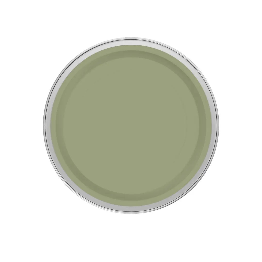 Levi's Easyclean Tegen Zwarte Strepen Mengverf 1L - Shady Green B50
