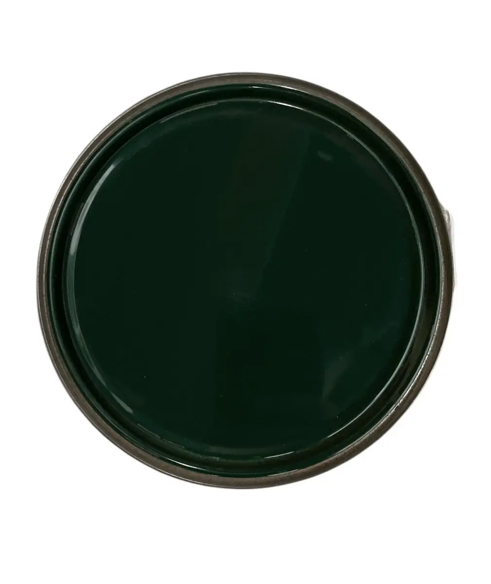 Levi's Lak Expert High Gloss Donkergroen 2.5L