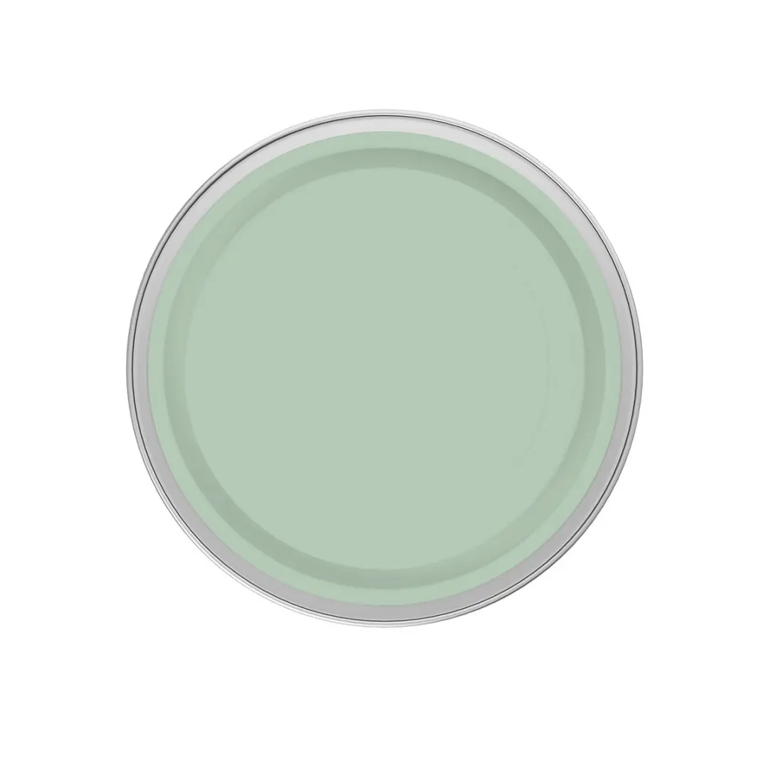 Levi's Easyclean Tegen Zwarte Strepen Mengverf 1L - Shady Green C40