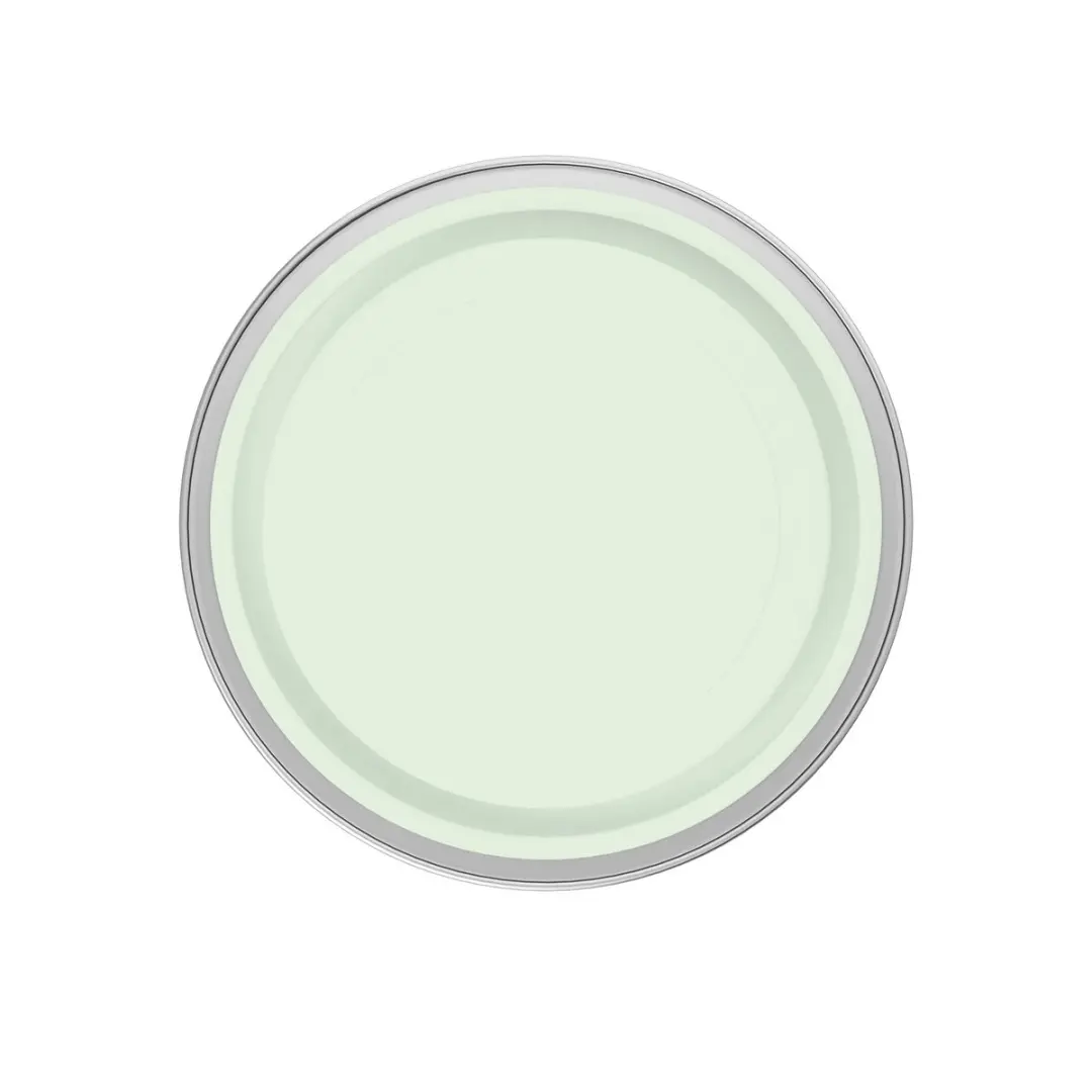 Levi's Easyclean Tegen Zwarte Strepen Mix 5L - Clear Green C10