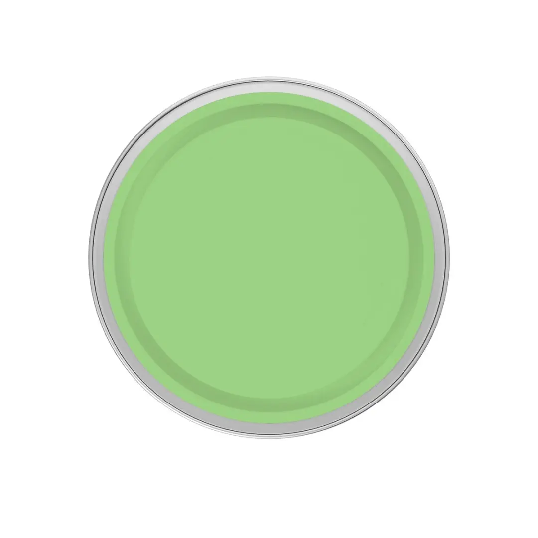 Levi's Easyclean Tegen Zwarte Strepen Mengverf 1L - Clear Green C40