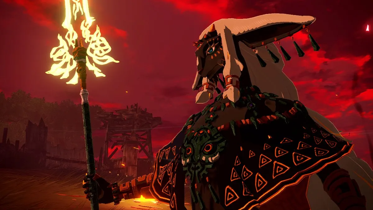 Nintendo Hyrule Warriors Age of Imprisonment Nintendo Switch 2 - Franse editie - afbeelding 6 van 6