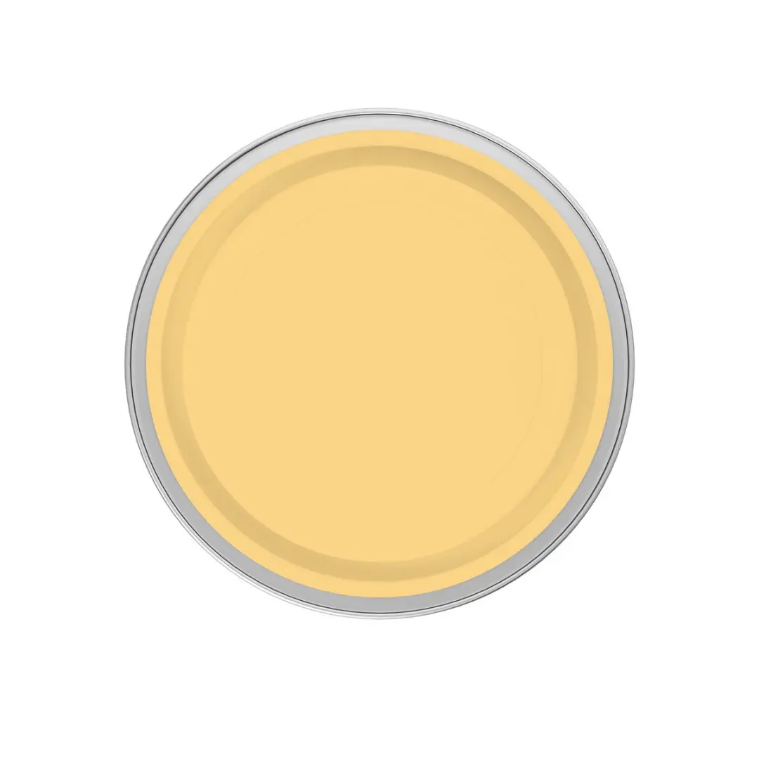 Levi's Easyclean Tegen Zwarte Strepen Mix - 1L - Clear Yellow