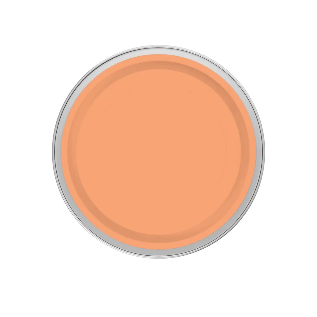 Levi's Easyclean Tegen Zwarte Strepen Mengverf 2,5L - Clear Orange