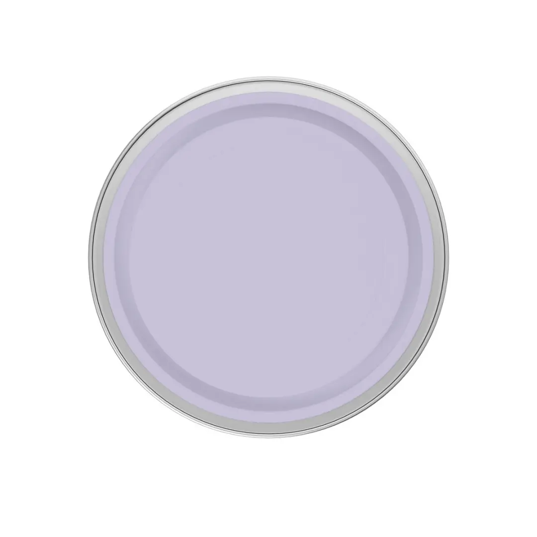 Levi's Easyclean Tegen Zwarte Strepen Mengverf 2,5L - Clear Purple C30