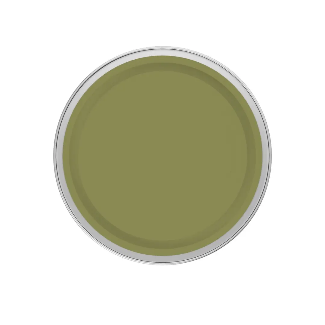 Levi's Easyclean Tegen Zwarte Strepen Mengverf 2,5L - Shady Green A70