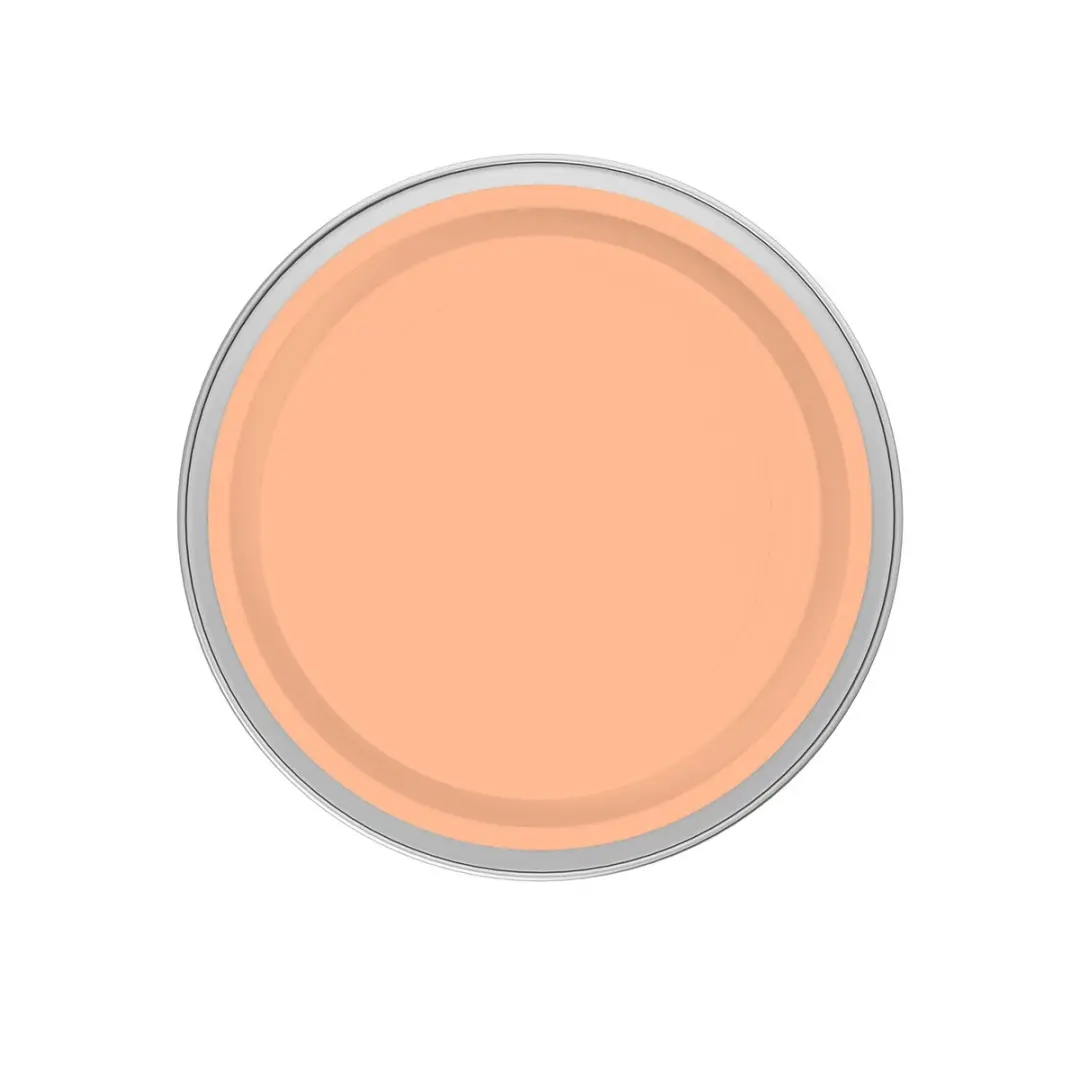 Levi's Easyclean Tegen Zwarte Strepen Mengverf 2,5L - Clear Orange