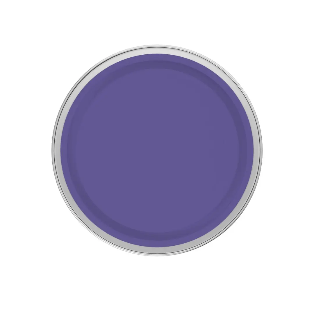 Levi's Easyclean Tegen Zwarte Strepen Mix 2,5L - Clear Purple C60