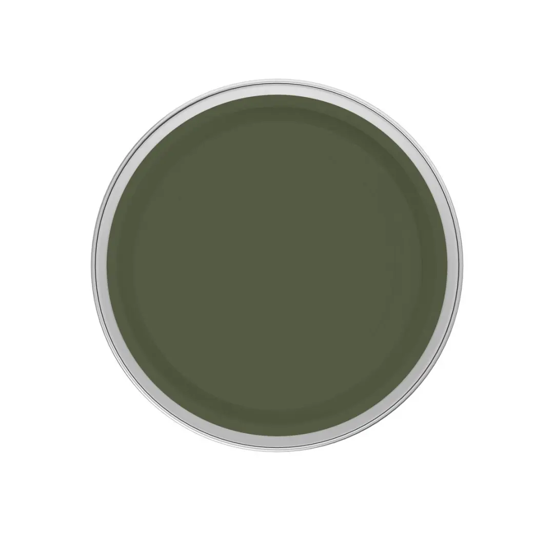 Levi's Easyclean Tegen Zwarte Strepen Mengverf 5L - Shady Green B80