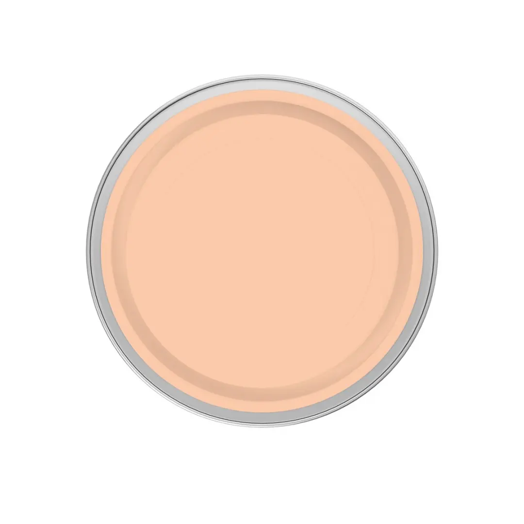 Levi's Easyclean Tegen Zwarte Strepen Mengverf 2,5L - Clear Orange