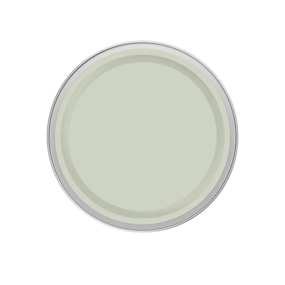 Levi's Easyclean Tegen Zwarte Strepen Mengverf 2,5L - Shady Green B30