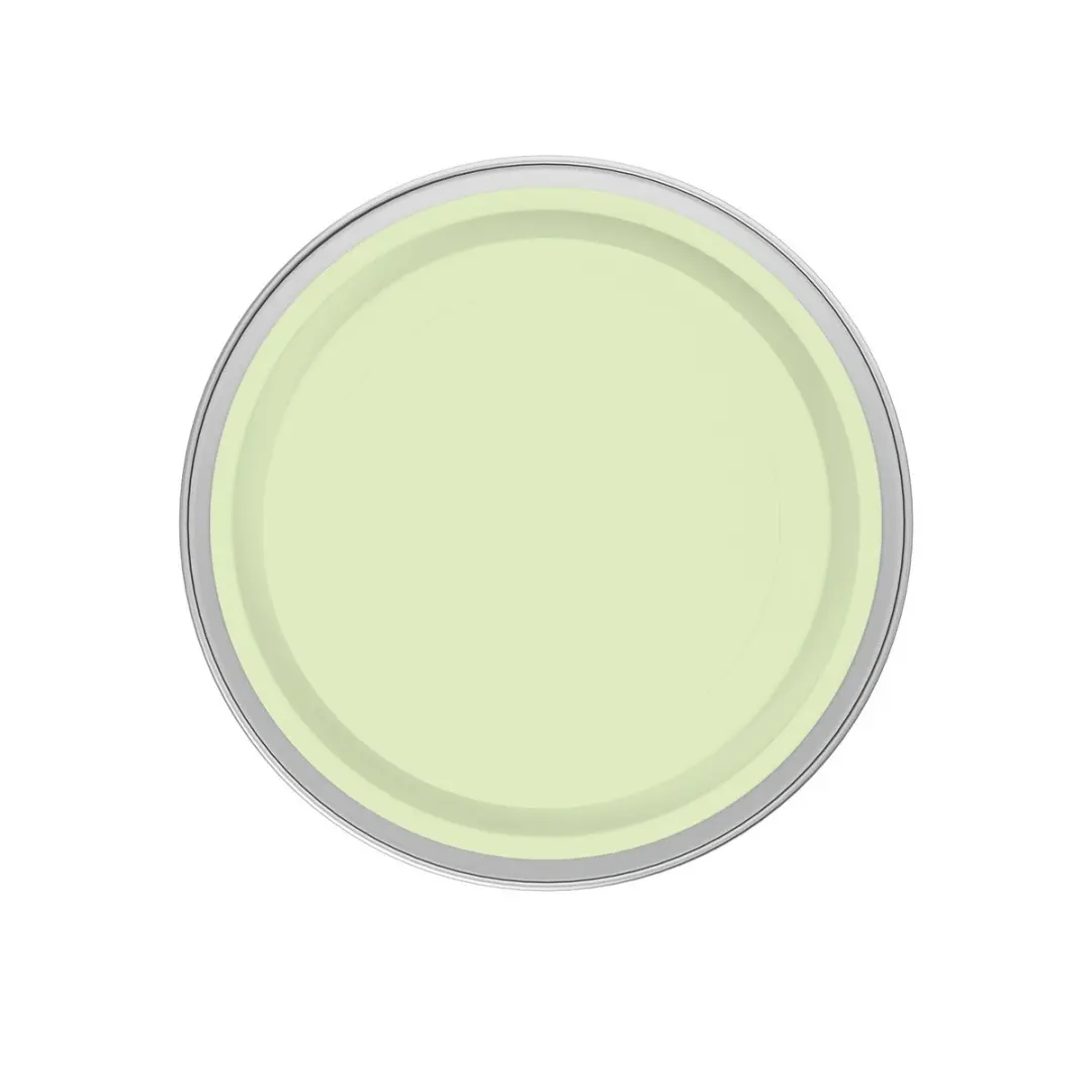 Levi's Easyclean Tegen Zwarte Strepen Mix 1L - Clear Green B30