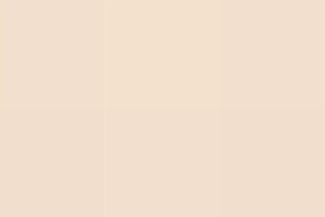Levi's Easyclean Tegen Zwarte Strepen Mengverf 1L - Shady Orange