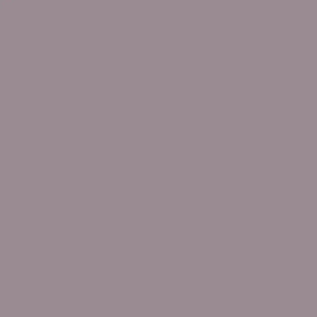 Levi's Muurverf Kleurtester Shady Purple C50 - 30ml