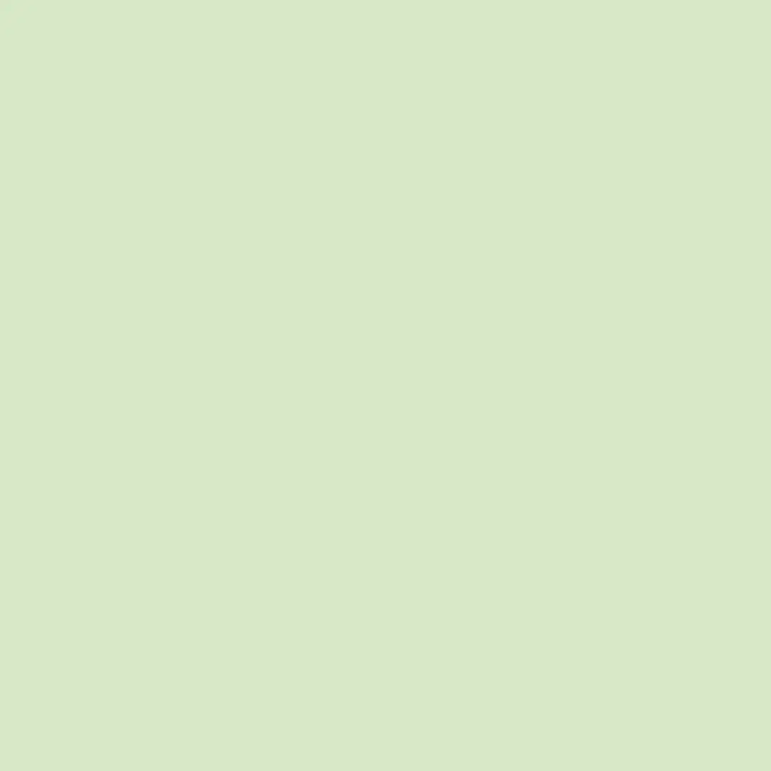 Levi's Muurverf Kleurtester Clear Green C20 - 30ml