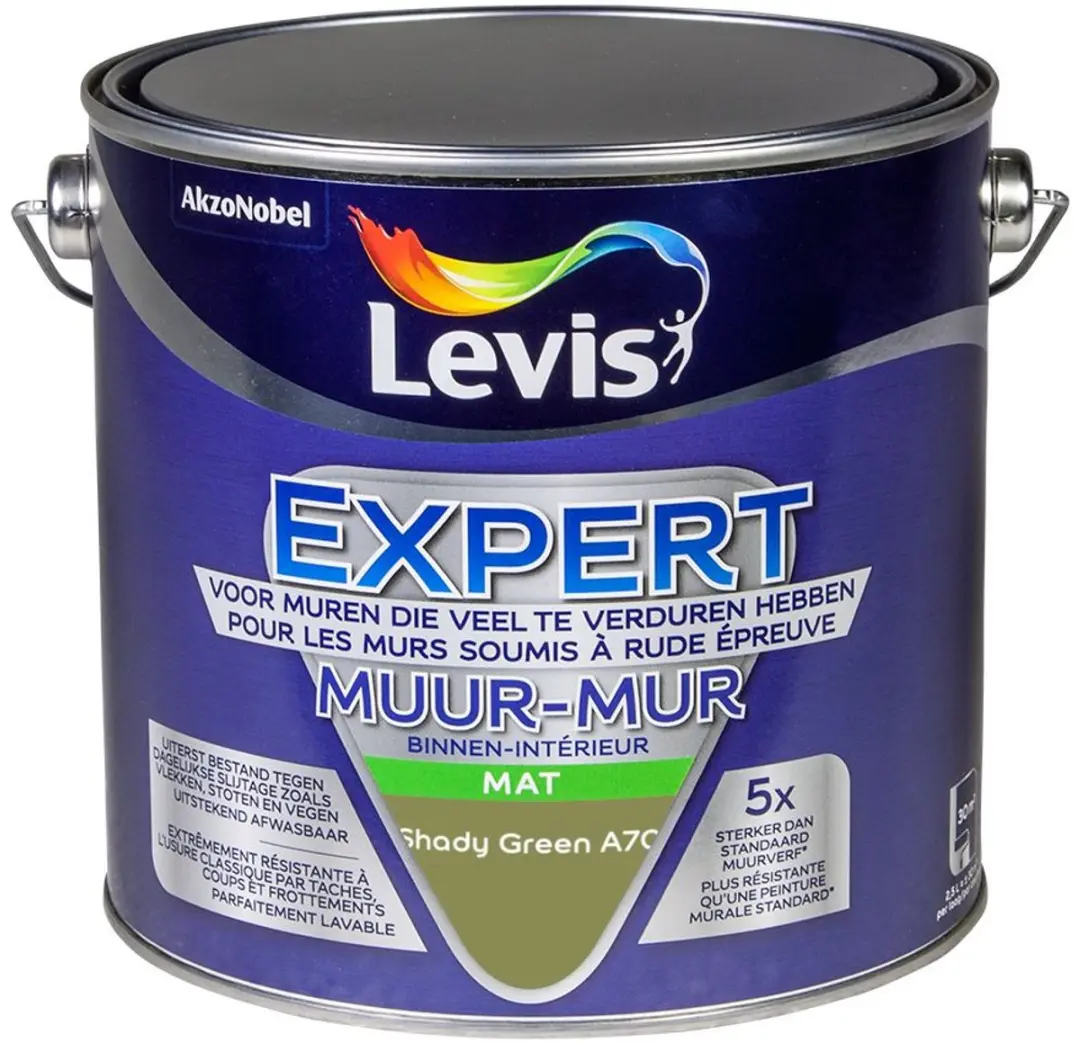 Levi's Expert Muurverf Shady Green A70