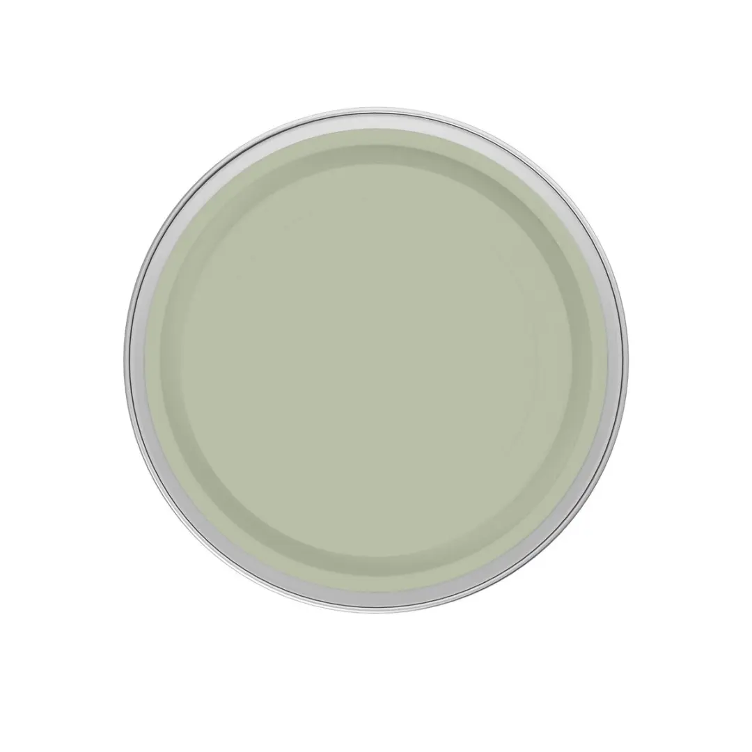 Levi's Easyclean Tegen Zwarte Strepen Mengverf 2,5L - Shady Green B40