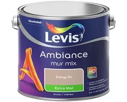 Levi's Ambiance Mur Extra Mat Mix Mengverf Energy Six 2,5L