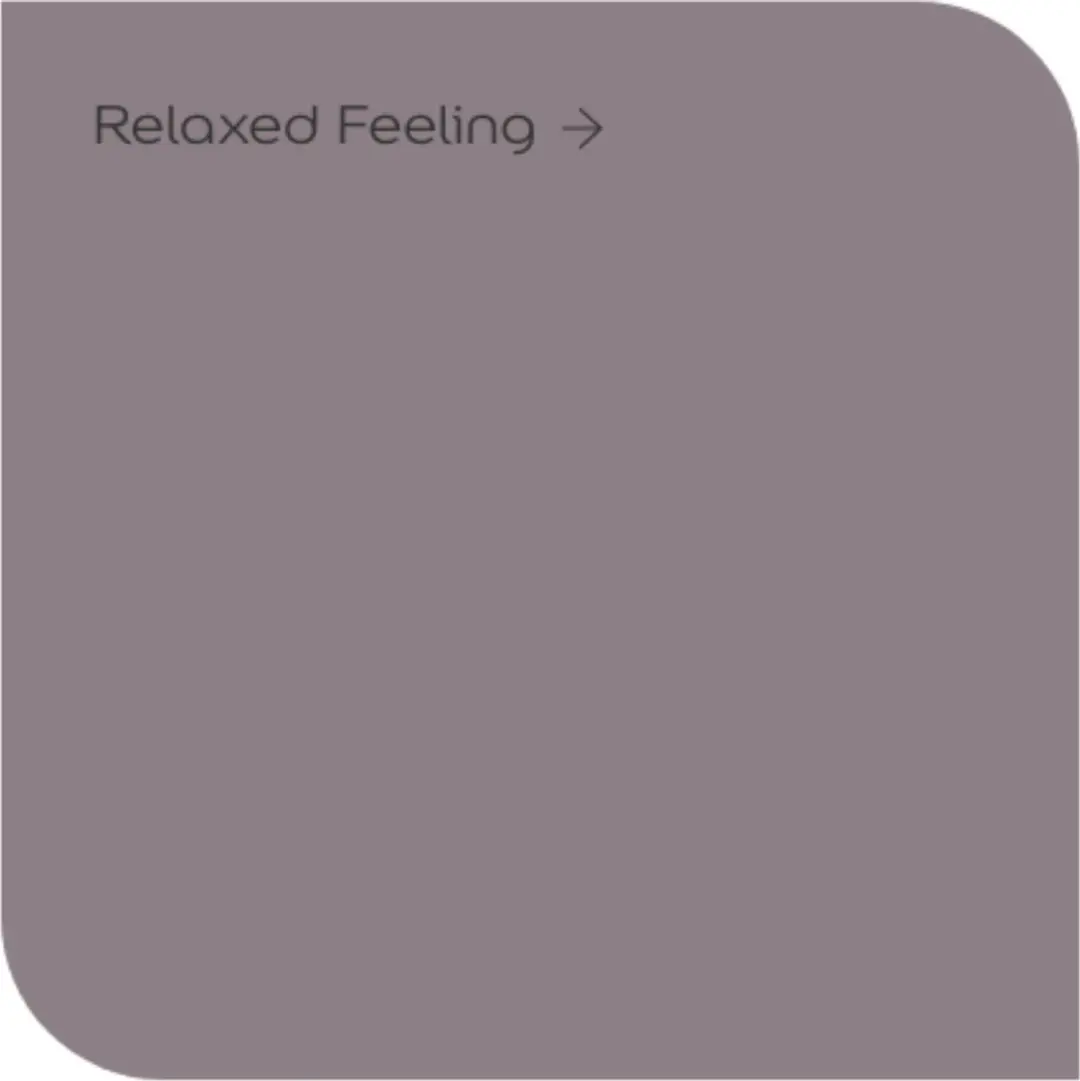 Levi's Colores del Mundo Muurverf Mat - Relaxed Feeling 1L