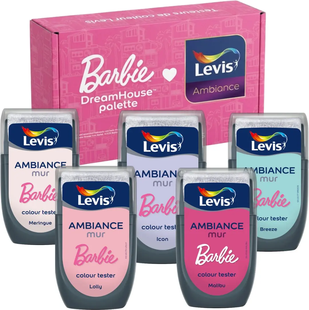 Levi's Barbie Dreamhouse Kleurenbox