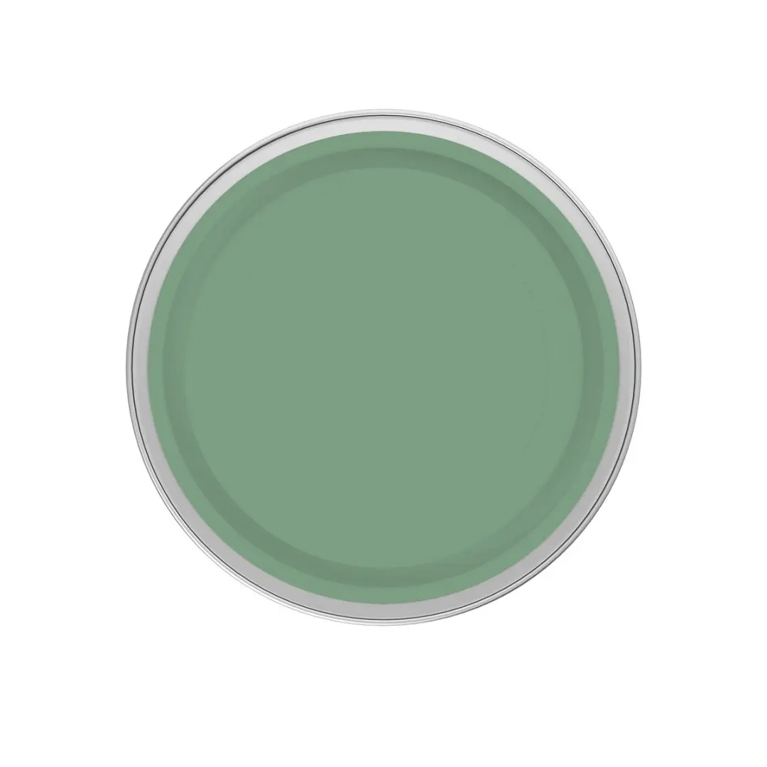 Levi's Easyclean Tegen Zwarte Strepen Mengverf 1L - Shady Green C50