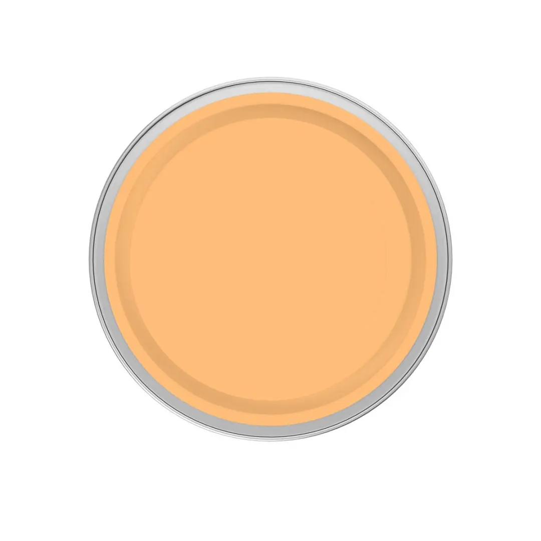 Levi's Easyclean Tegen Zwarte Strepen Mengverf Clear Orange B50 - 1L