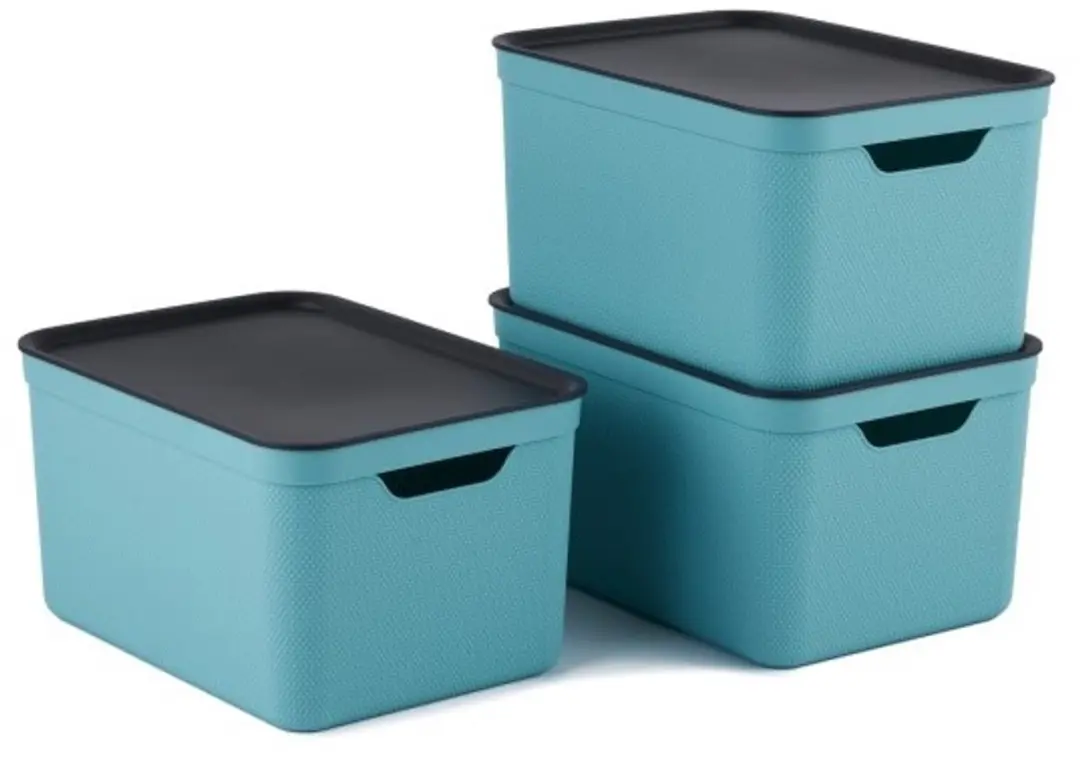 Rotho Jive Opbergboxen Set 3x16L