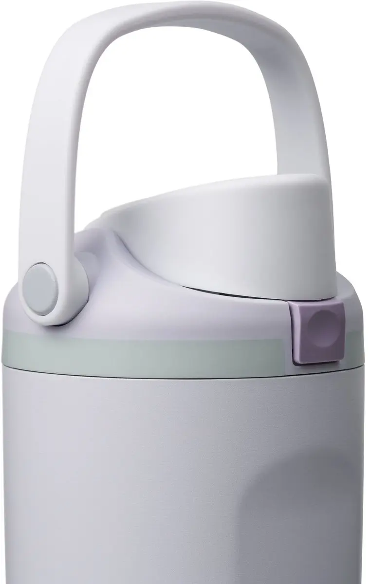 Owala FreeSip Sway C07684A4 Waterfles 890ml - Lichtpaars
