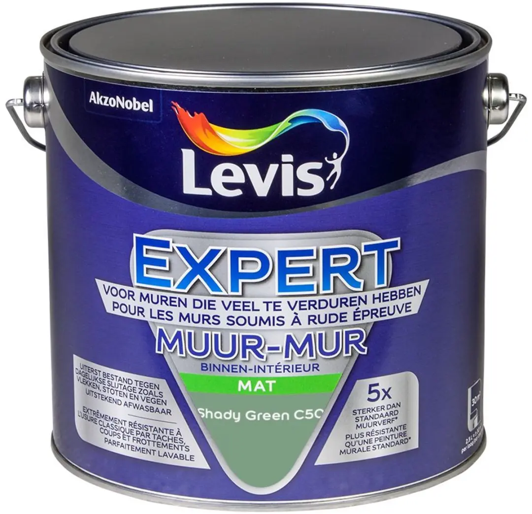 Levi's Expert Muurverf Shady Green C50