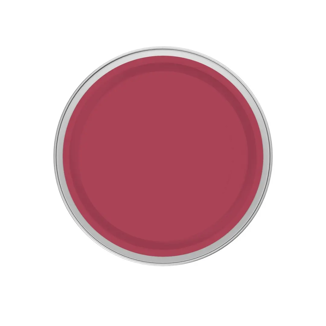 Levi's Easyclean Tegen Zwarte Strepen Mix 1L - Clear Red B70