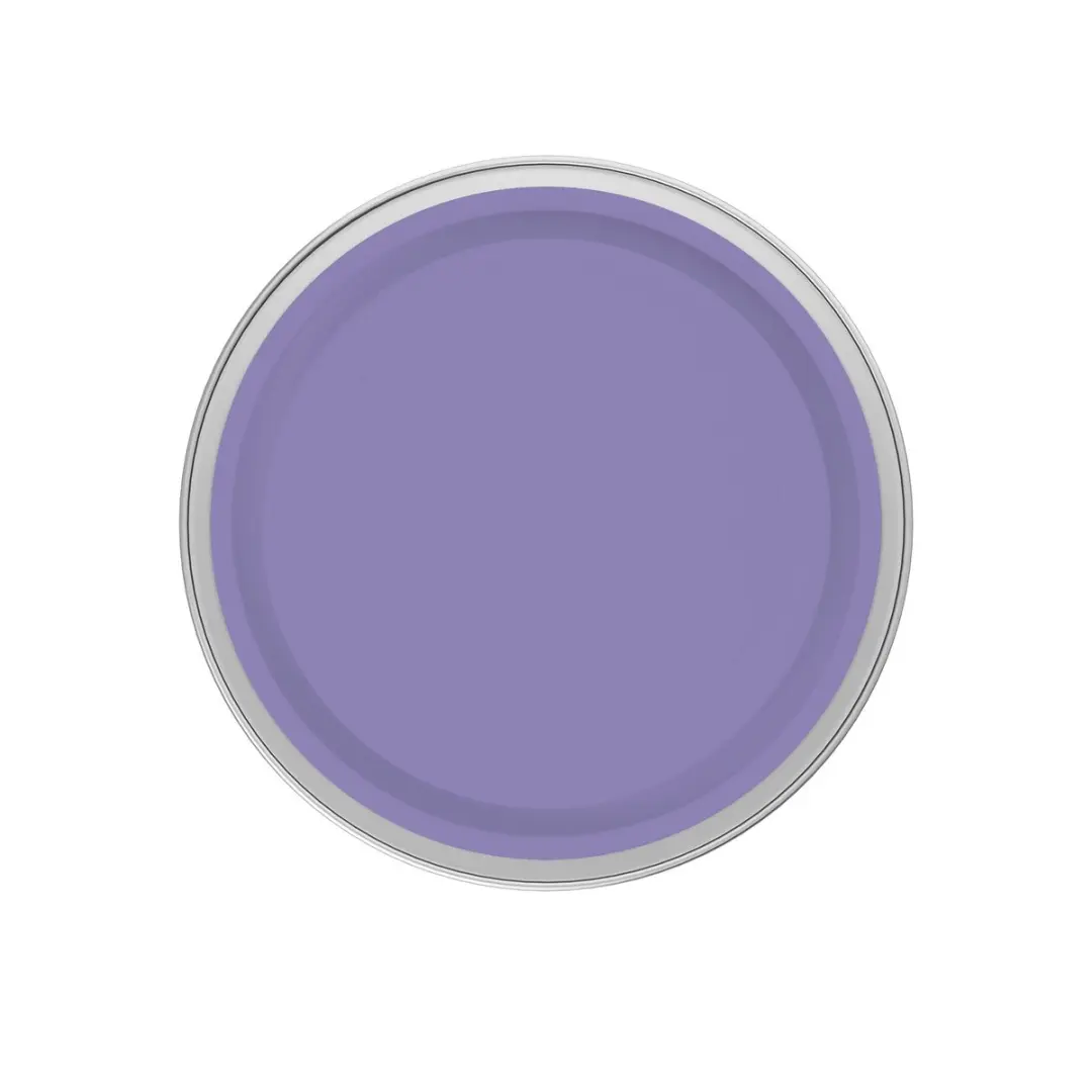 Levi's Easyclean Tegen Zwarte Strepen Mengverf 1L - Clear Purple C50