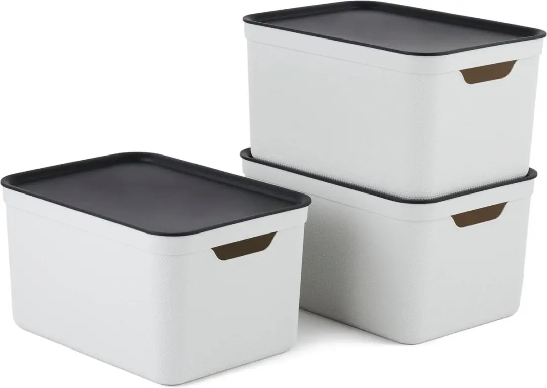 Rotho Jive Opbergboxen 3x16L