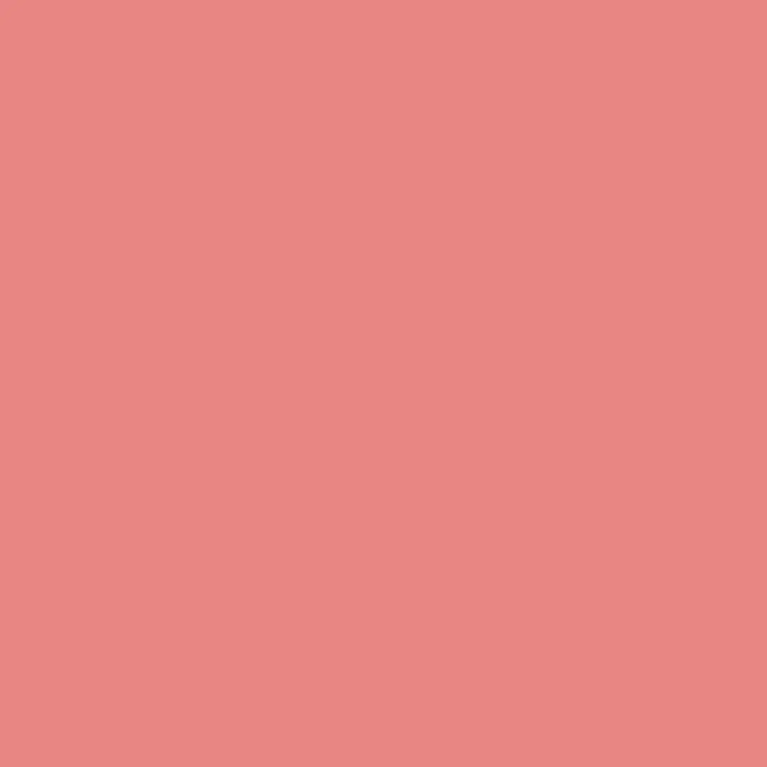 Levi's Essentials Mur & Primer Mix Clear Red C50 Mengverf 1L