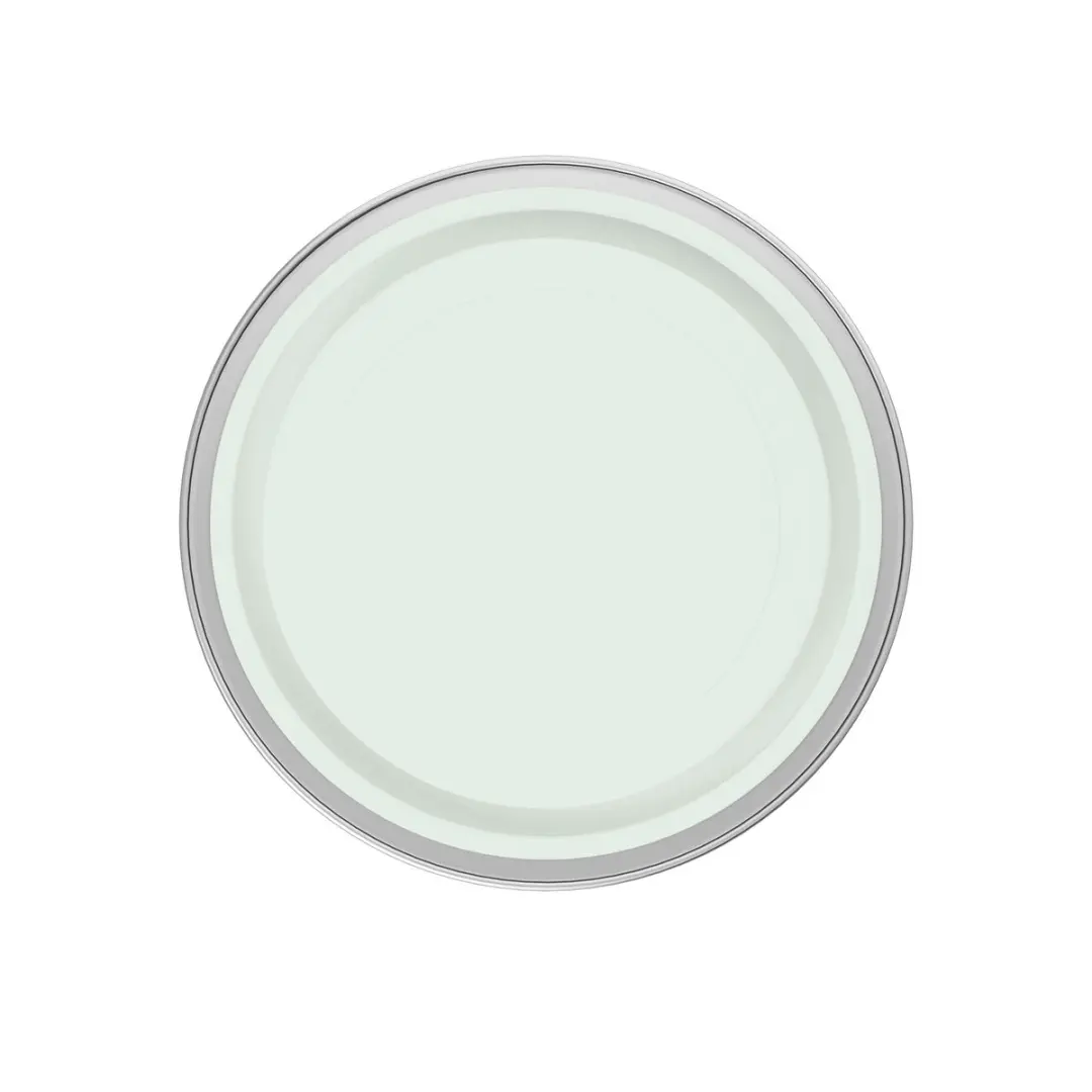 Levi's Easyclean Tegen Zwarte Strepen Mengverf 5L - Shady Green C20